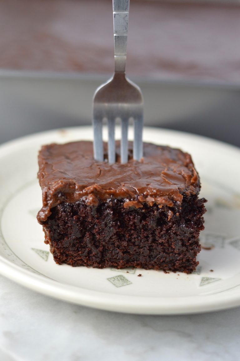 Chocolate Cake with Thick Chocolate Icing