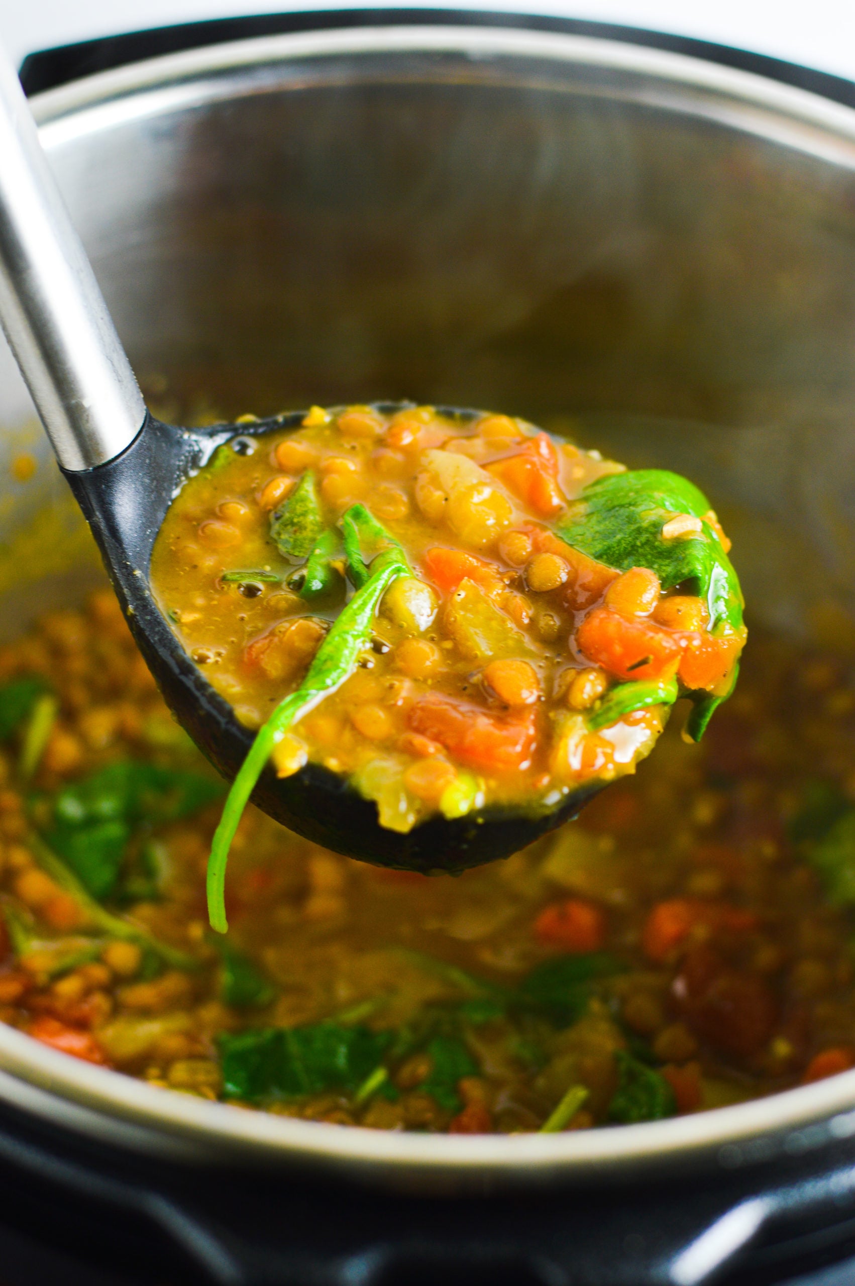 Vegan Instant Pot Lentil Soup - A Taste of Madness