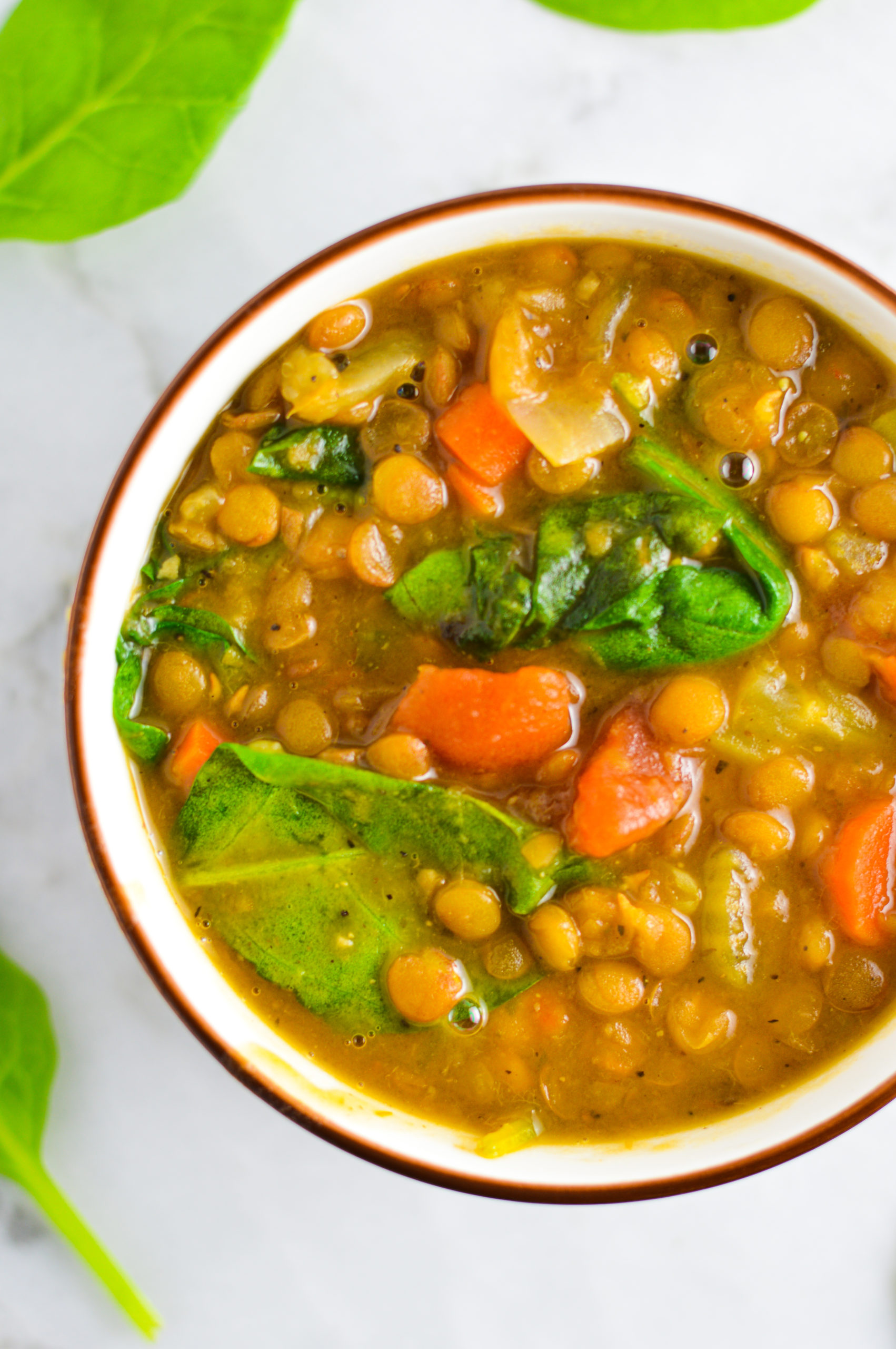 Vegan Instant Pot Lentil Soup - A Taste of Madness