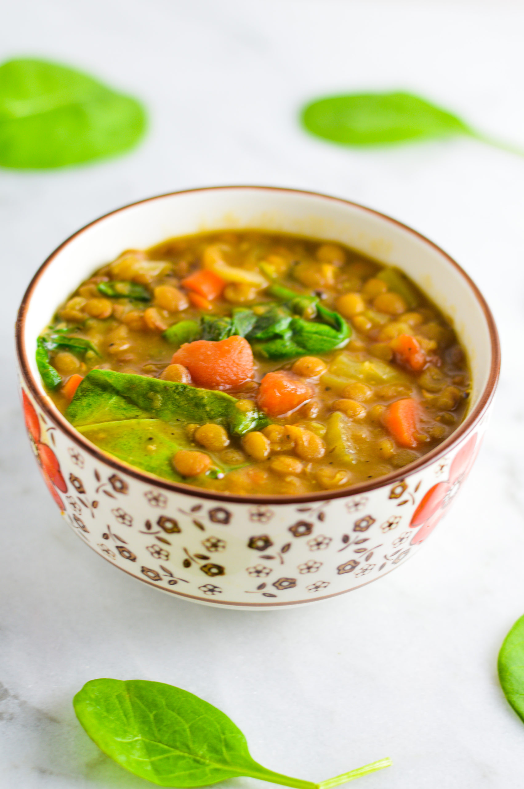 Vegan Instant Pot Lentil Soup - A Taste of Madness