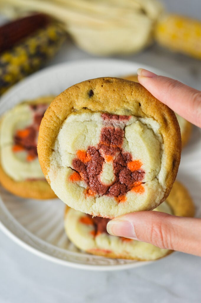 A hand holding up a Easy Thanksgiving Sugar and Chocolate Chip Cookie, with a turkey design in the center of the sugar cookie.