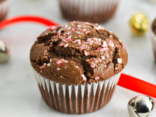 【天芽販売】アガベ チョコレートバイト (Muffinさん株) の天芽 Peppermint Creamer Chocolate Muffins - A Taste of Madness