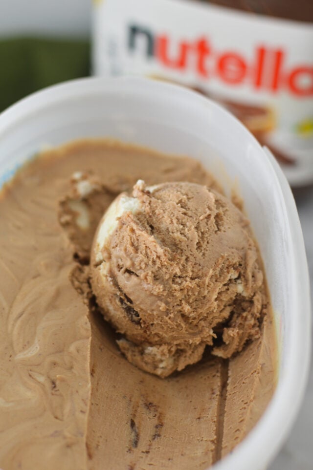 No Churn Nutella Ice Cream - A Taste of Madness