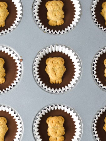Mini Teddy Graham Nutella Cups in a mini muffin tin.
