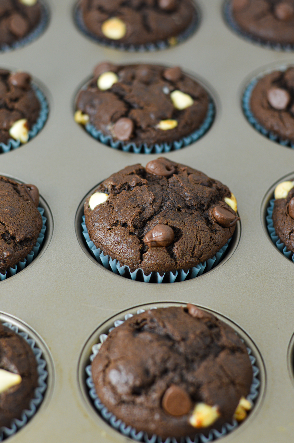 Freshly baked Triple Chocolate Banana Muffins topped with melty white and semi-sweet chocolate chips in a muffin cup lined muffin pan.