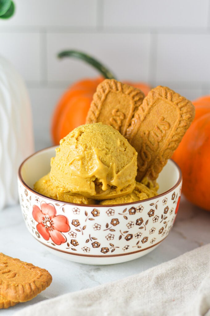 A bowl of creamy Ninja Creami Vegan Pumpkin Biscoff Protein Ice Cream with some Lotus Biscoff cookies sticking out.