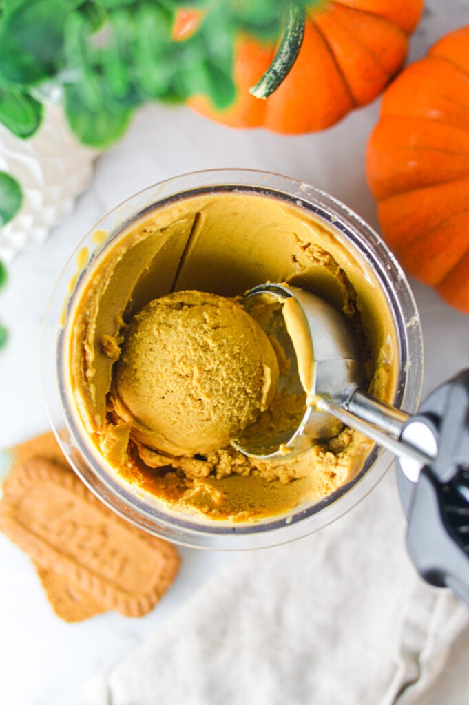 A Ninja Creami pint filled with Ninja Creami Vegan Pumpkin Biscoff Protein Ice Cream, and an ice cream scoop beside a creamy scoop of ice cream.