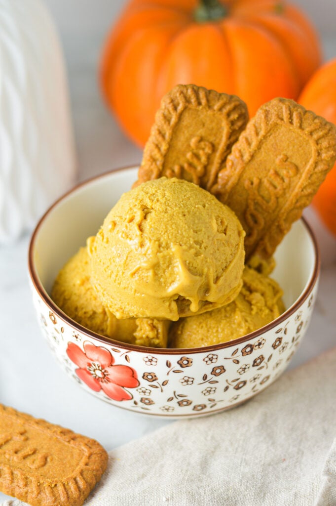 This creamy bowl of Ninja Creami Vegan Pumpkin Biscoff Protein Ice Cream features some Lotus Biscoff biscuits beside the rich ice cream.