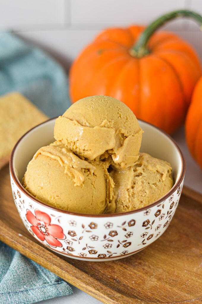 Creamy Ninja Creami Vegan Pumpkin Pie Protein Ice Cream in a small bowl, with some mini pumpkins and whole graham crackers in the background.