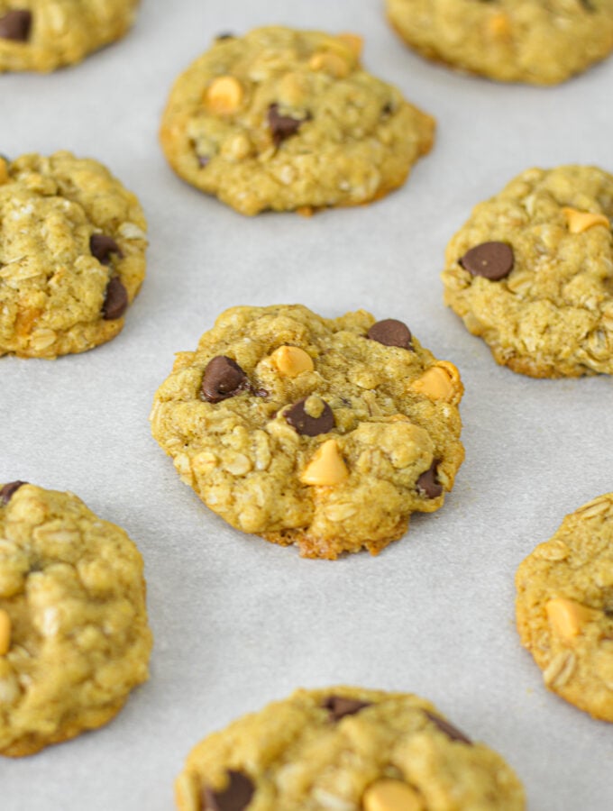 Homemade Oatmeal Butterscotch Chocolate Chip Cookies on a parchment paper lined cookie sheet.