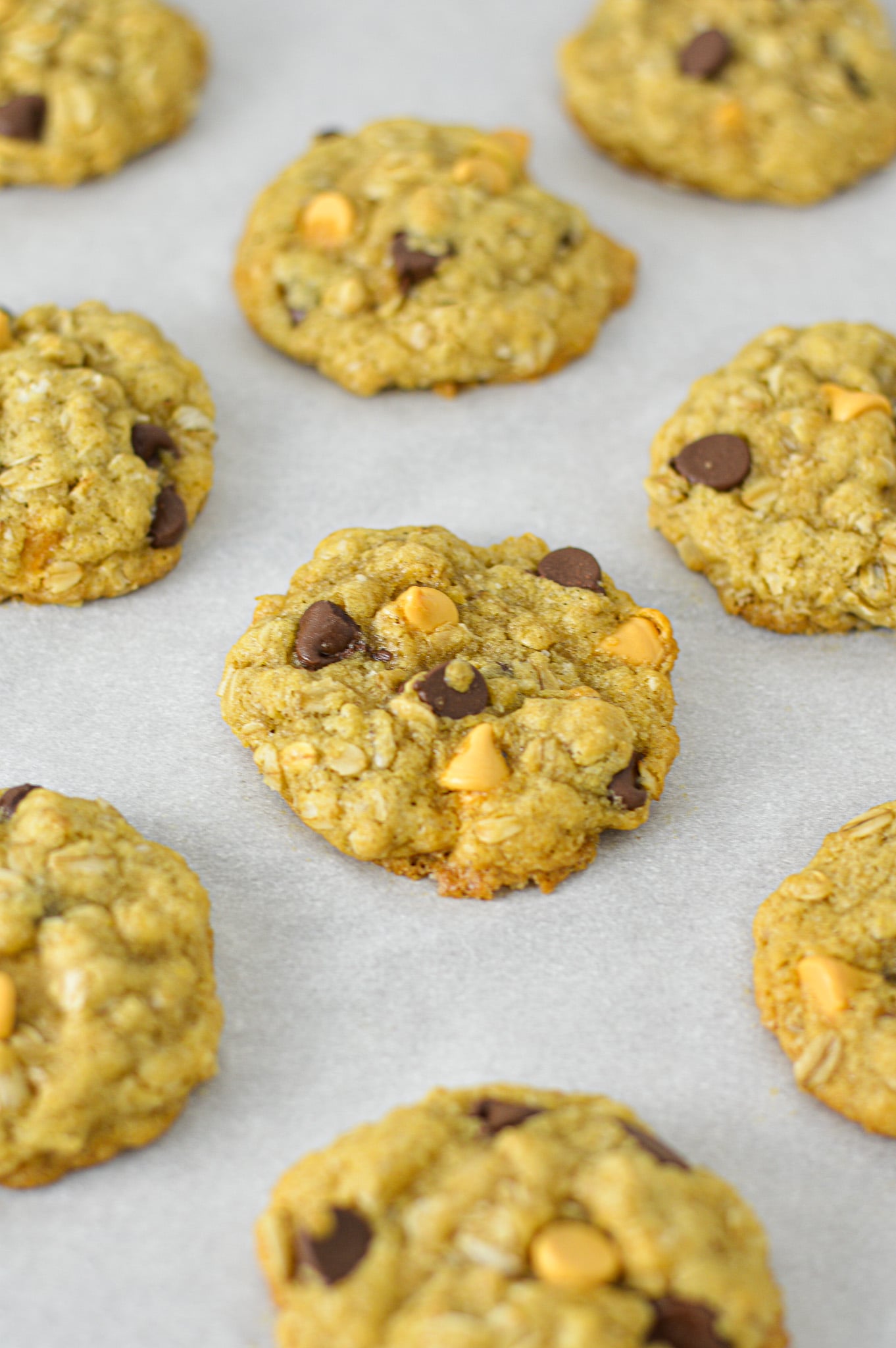 Homemade Oatmeal Butterscotch Chocolate Chip Cookies on a parchment paper lined cookie sheet.