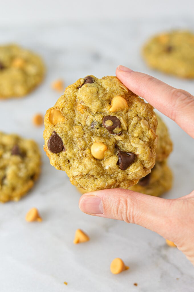 A hand holding up a Oatmeal Butterscotch Chocolate Chip Cookie, showing the hearty texture of the homemade cookie.