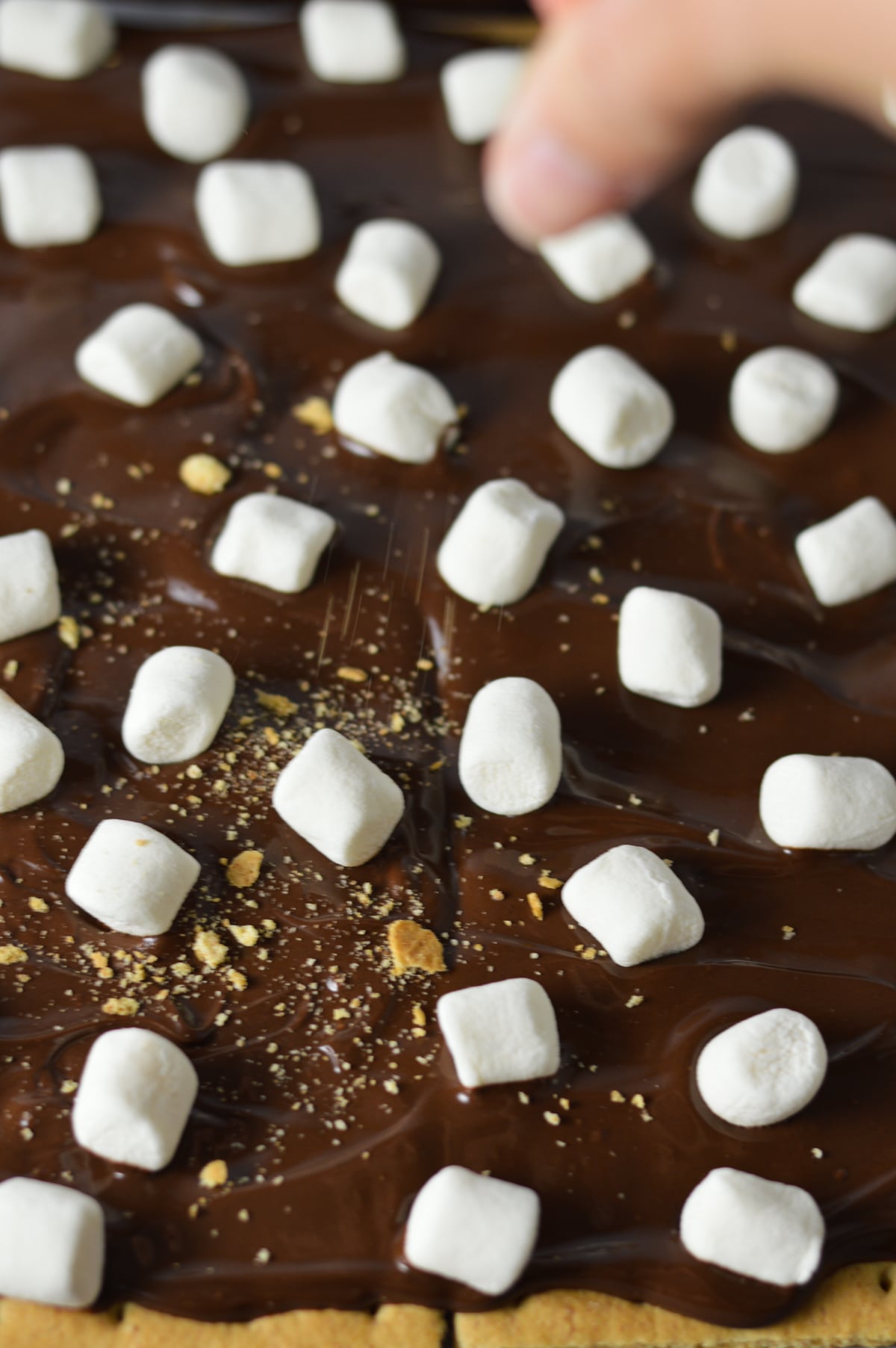 A hand sprinkling graham cracker crumbs on top of melted chocolate chips on top of graham crackers, with mini marshmallows sprinkled on the melty chocolate.